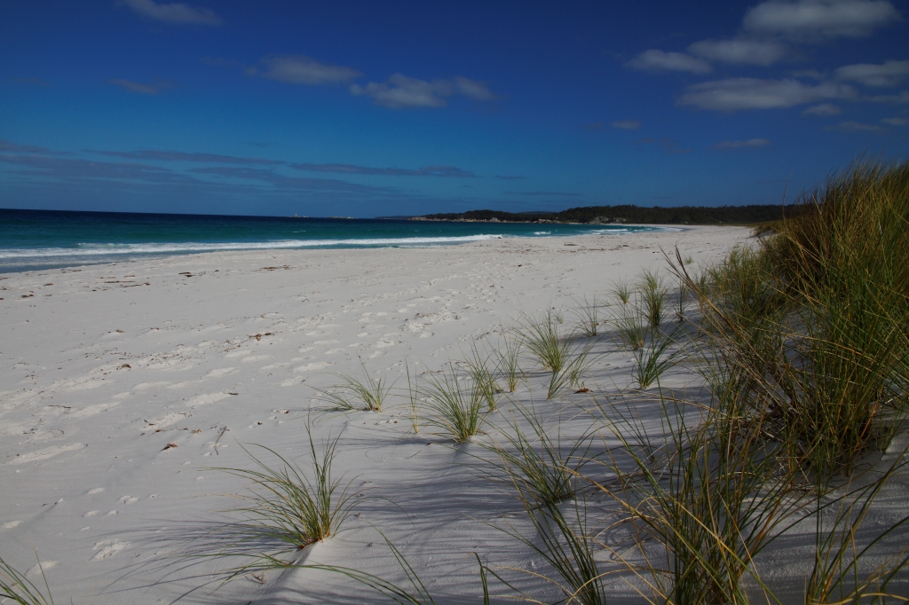 08 - Frecinet NP (1).jpg